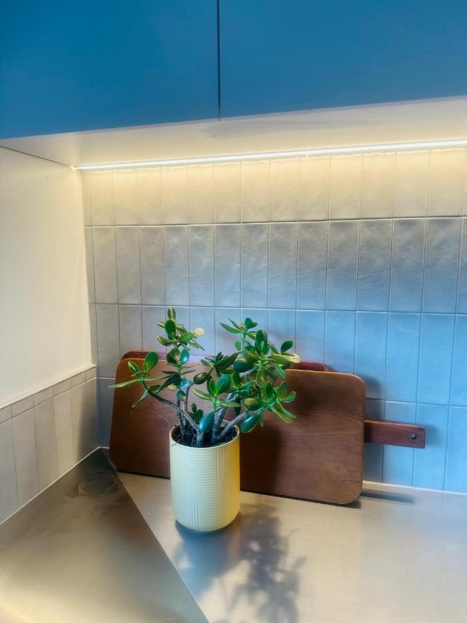 基督城2 Bed Beckenham Beauty - Pet Friendly别墅 外观 照片